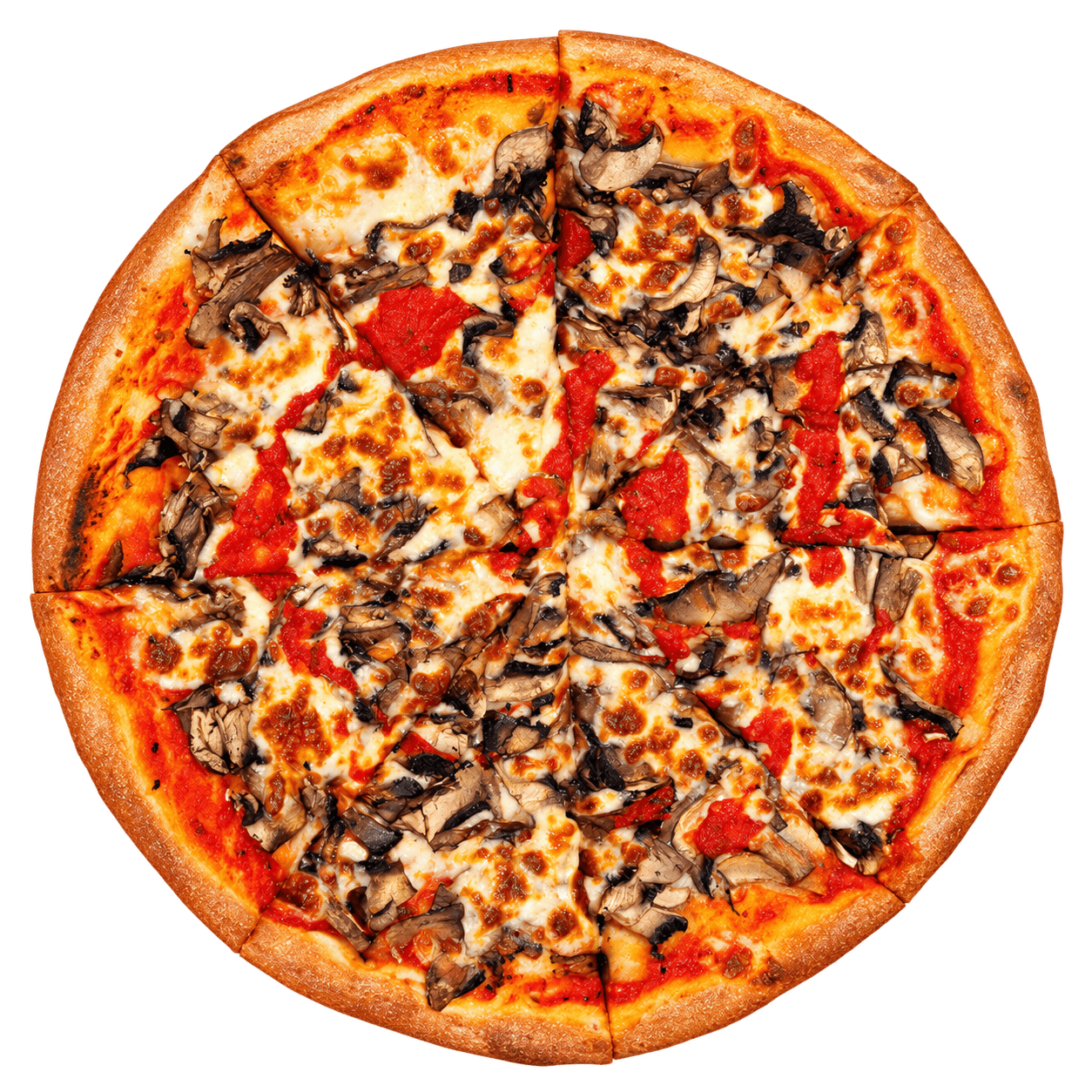 Mushroom Pizza png